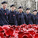 Poppies @ The Tower