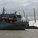 RFA ARGUS