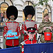 LONDON POPPY DAY  7697
